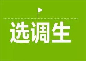 大公教育 濮陽軍轉干考試技術推廣服務，助力退役軍人成功轉型